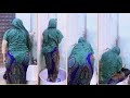 Niiko Shidan Dirac Qoyan Garoob Dabo Macan Biyo Ku Dhex Bashaaleysa Siigo Wasmo Part 2