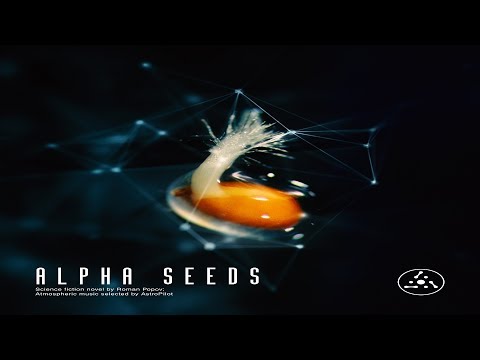 Sacred Seeds - Unity | Chill Space Video