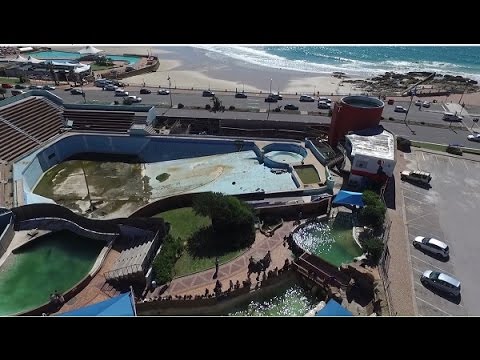 Drone Footage: Port Elizabeth's iconic B