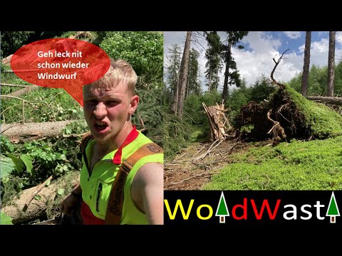 Schwere Unwetter im Metnitztal