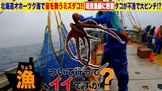 【大自然】北海道のタコ漁について行ってみた