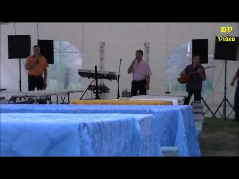 Barabe   violina i curica fina