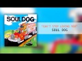 Can't Stop Loving You by Soul Dog