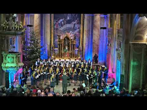 Trojkráľový koncert PIARISSIMO 6.1.2025 - Trenčín