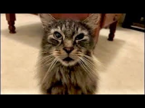 YouTube 썸네일