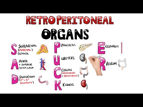 Systemic Lupus Erythematosus Signs and Symptoms SOAP BRAIN MD Mnemonic