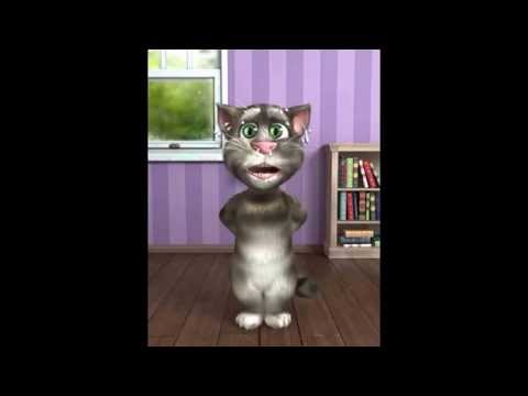 packy el gato hondureño #7  (ajaaaa mi suegro)