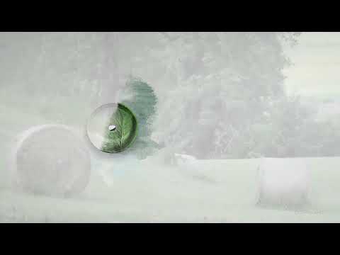 Ceramica Catalano Green Collection