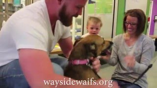 Reunited! Watch Izzy find her family!