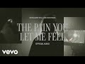 The Pain You Let Me Feel