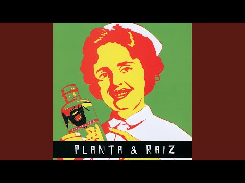 Ideia Certa - Planta e Raiz