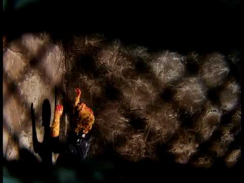 download lagu mp3 mp4 Tao Menizoo, download mp3 Tao Menizoo free downloadn, video klip Tao Menizoo