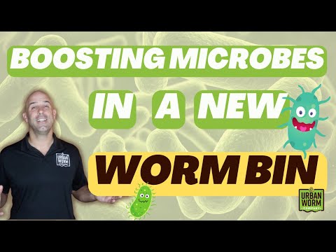 Tip #1 for Worm Farm Success: Boosting Microbes