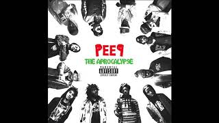 Pro Era - F A Rap Critic by Chuck Stranger, Kirk Knight, Joey B4da$$, prod by Statik Selektah