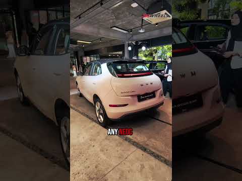 The new ORA Good Cat 2026 and Tank 500 Black Edition