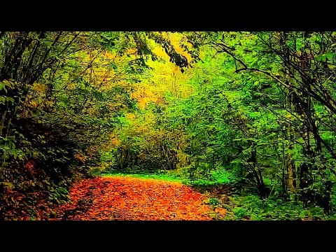 Müziksiz ilahi: Nusret gündüz - bugünüm ne acı gündür
