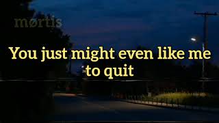 if you like it or not -The Brobecks // lyrics