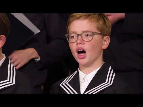 Hammerschmidt Ehrung 2020