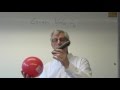Escape Velocity - Brain Waves