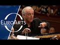 Beethoven - Piano Concerto No. 3 in C Minor Op. 37 (Daniel Barenboim & West-Eastern Divan Orchestra)