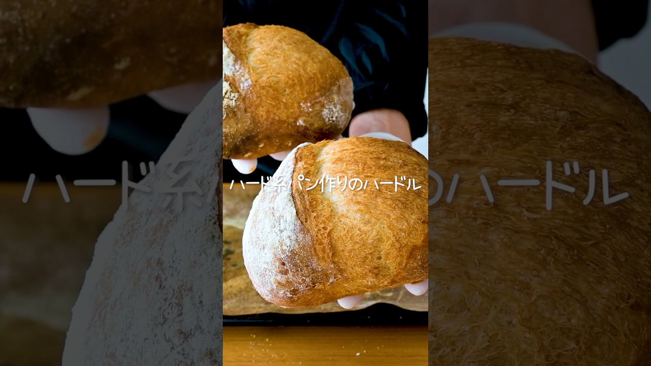 こねない簡単カンパーニュ  #手作りパン #パン作り #shorts
