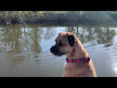 Old Nick's Vetus E-Line 10KW on River Severn