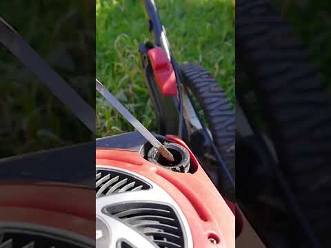 Checking the oil - Briggs & Stratton vs Honda. #lawnmower #oilchange #dipstick #oillevel