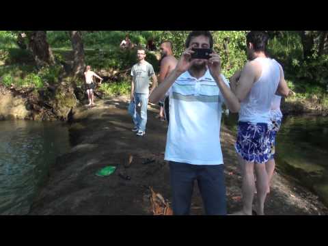 Piknik me Hoxhë Bekir Halimi në Shishovë