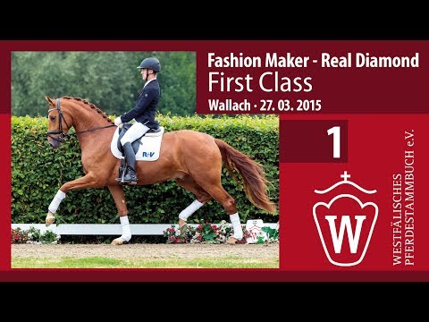 01 First Class  v. Fashion Maker - Real Diamond