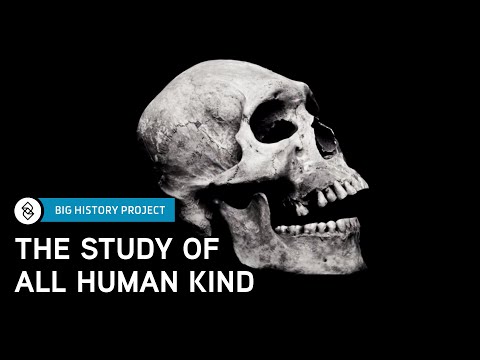 人類学入門｜ビッグヒストリープロジェクト (Intro to Anthropology | Big History Project)