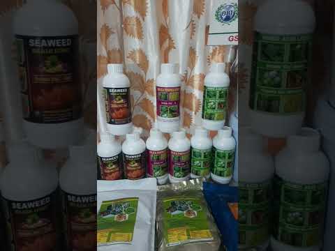 5 kg vita gain sargassum tenerife 2% seaweed granules