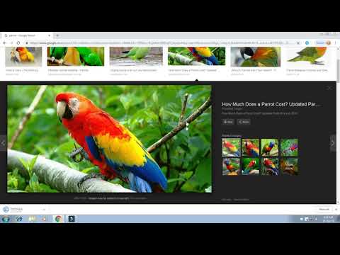 Basic Computer Syllabus