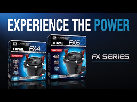 FX6 фидео фильтра