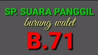Download lagu Suara panggil burung walet B.71 istimewa mp3