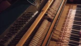 The Flow (Melanie De Biasio cover)