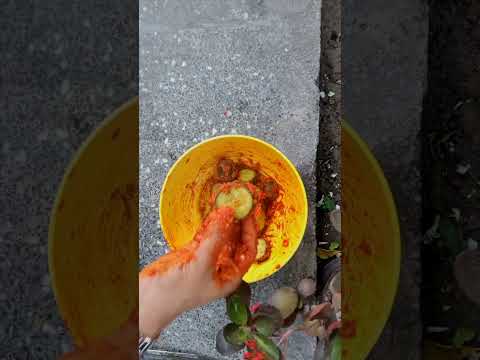 traditional kimchi recipe ||  how to make kimchi || best kimchi recipe || korean traditional kimchi