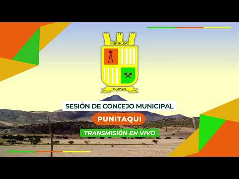 CONCEJO MUNICIPAL SESIÓN ORDINARIA N°30