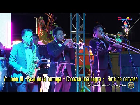 Tropi Rollo 💥 Volumen 10 💿 El Paso de la tortuga - Conozco una negra -Bote de cerveza 🍺