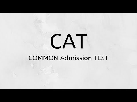 What is Cat ?