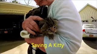 Saving A Kitten From A Destroyed Barn
