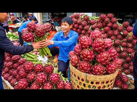 Harvesting 1000+KG of Red Artichoke Flowers - Transporting them to the local market for sale.
