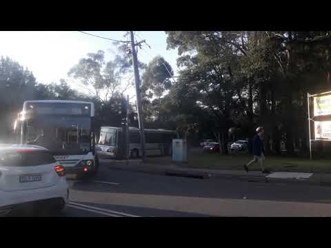 Forest Volvo B12BLE Custom Coaches CB60 & Mercedes 405 Volgren CR221 at St Ives