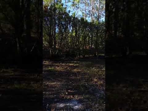 ZTE phone screen shot