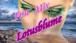Lotusblume Sonder Mix