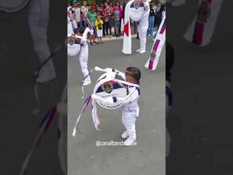 Mini bombista da Fanfarra #shorts
