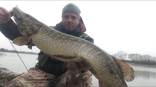 Отчет о рыбалке на москва реке за эту неделю