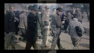 Talking Heads- Cool Water- unofficial music video