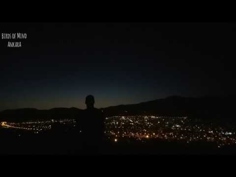 Birds of Mind - Ankara