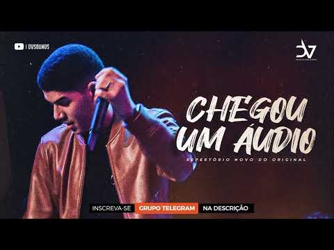 ZÉ VAQUEIRO - CHEGOU UM ÁUDIO [REPERTÓRIO NOVO DO ORIGINAL]