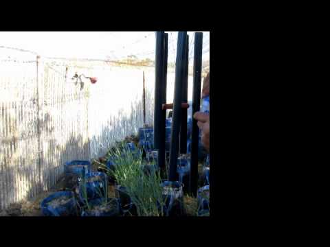 How To Fix Wind Chimes Balance Clapper